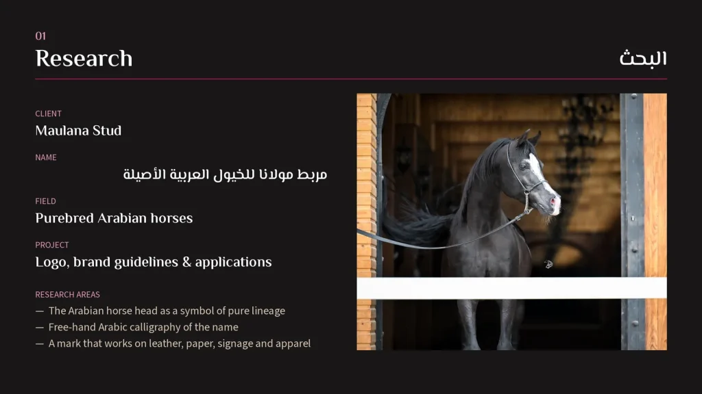 Maulana Stud: Logo & Brand Identity (2)