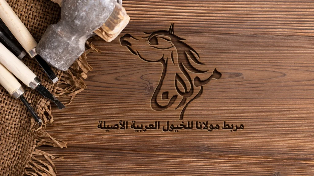 Maulana Stud: Logo & Brand Identity (8)
