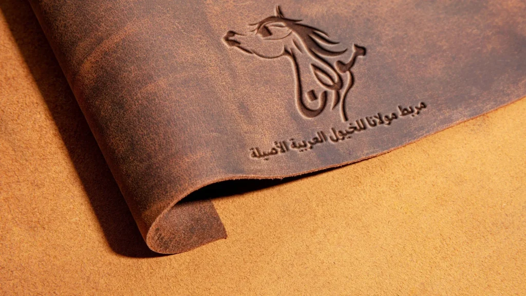 Maulana Stud: Logo & Brand Identity (9)