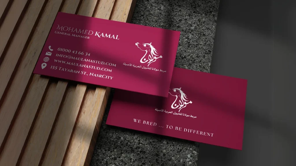 Maulana Stud: Logo & Brand Identity (12)