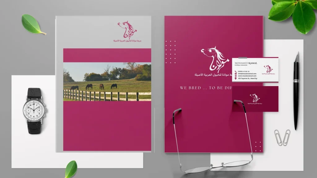 Maulana Stud: Logo & Brand Identity (13)