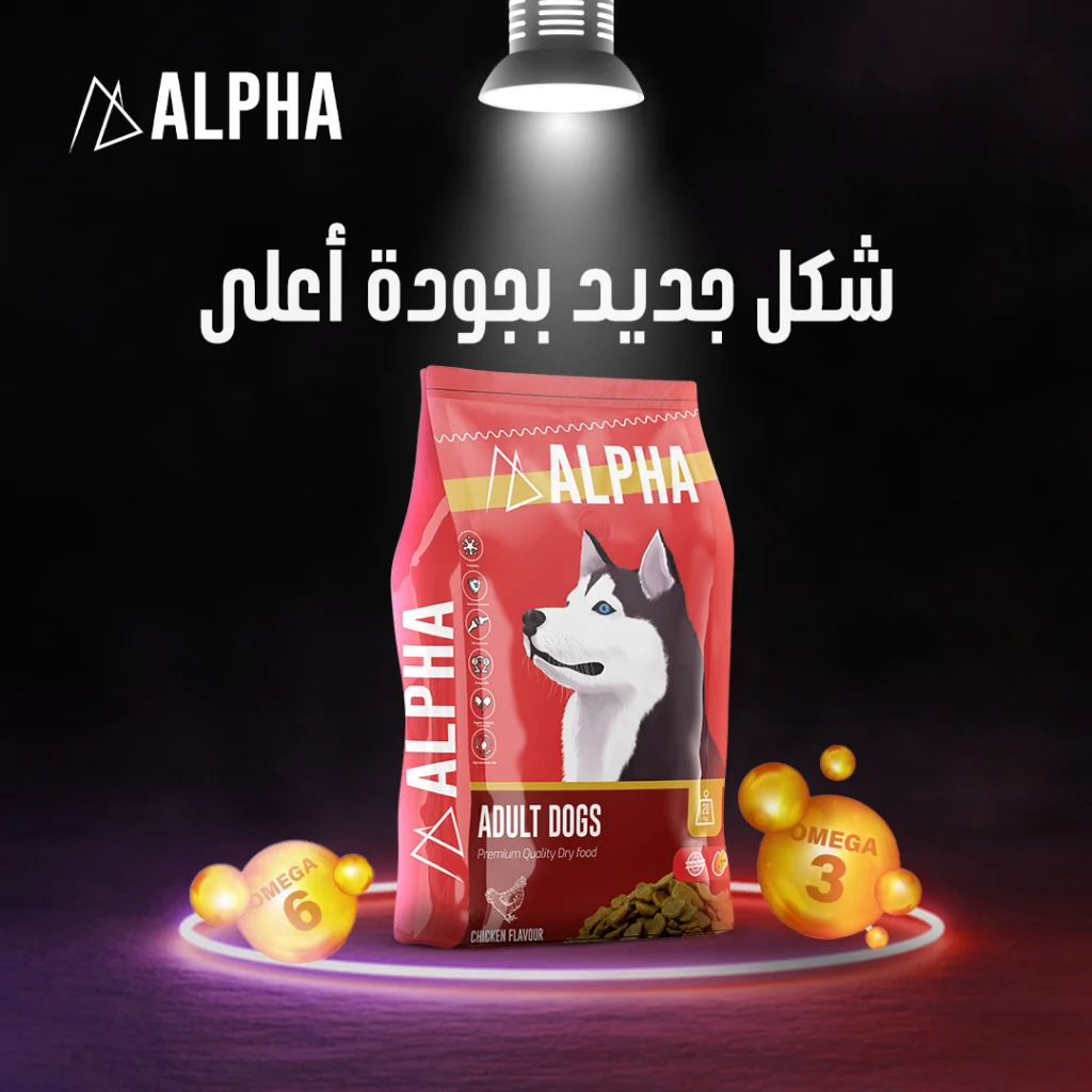 Alpha Social Media (3)
