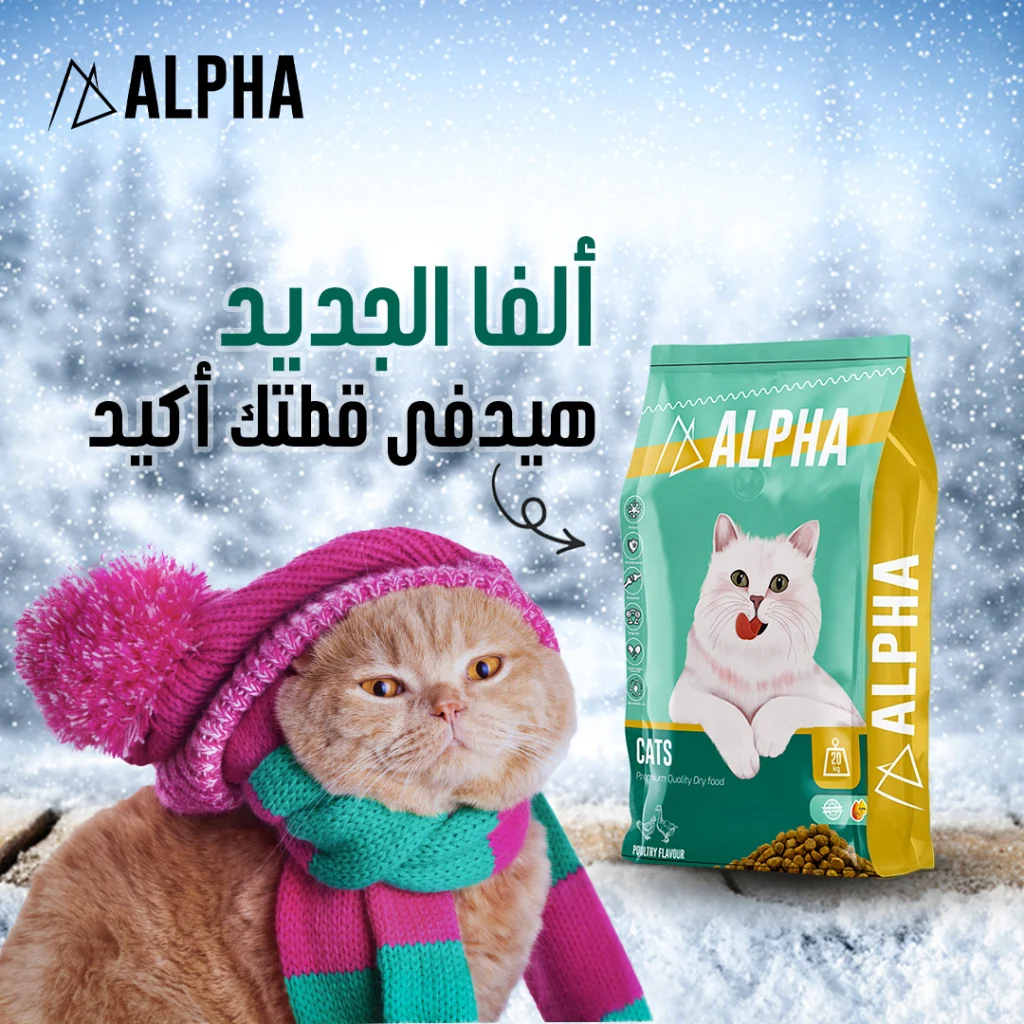 Alpha Social Media (5)