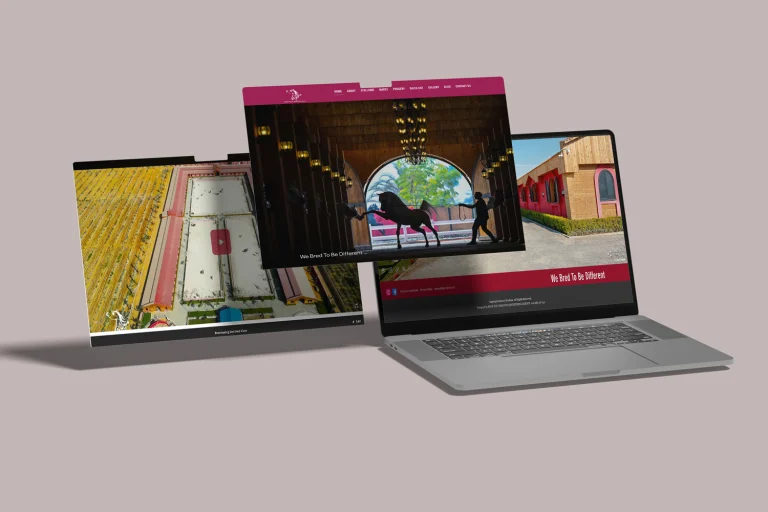 Maulana Website