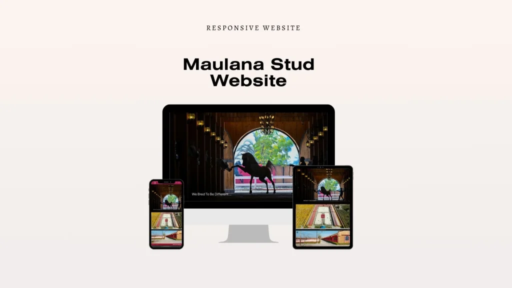 Maulana Website (2)