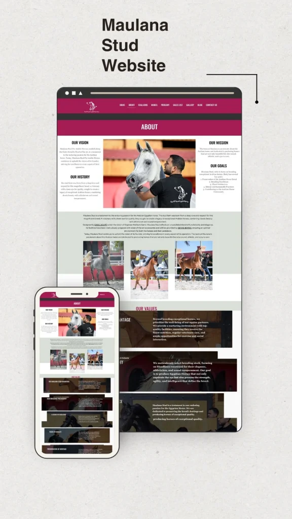 Maulana Website (3)