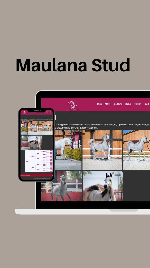 Maulana Website (5)