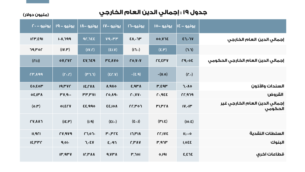 Human Development Report & Public Debt Strategy (9)
