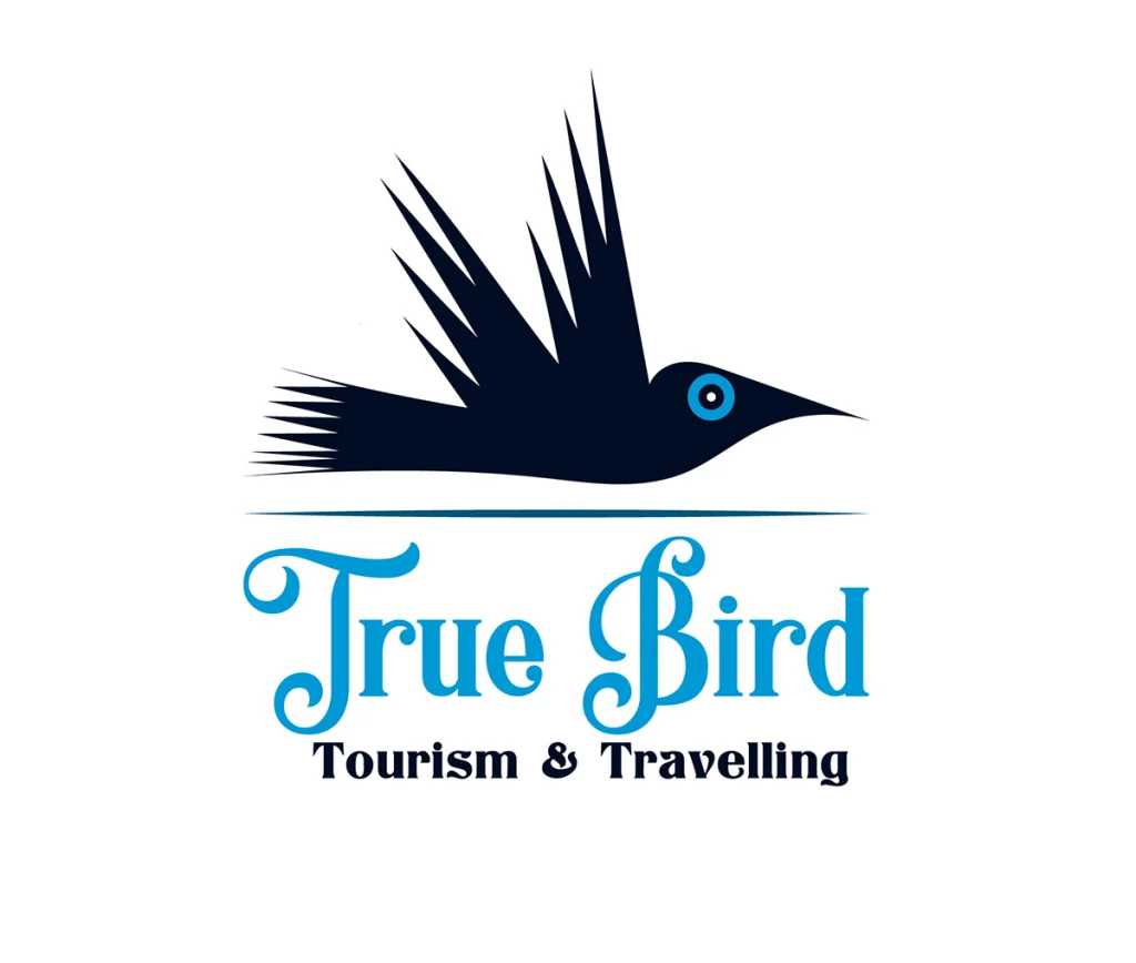 True Bird Logo (3)
