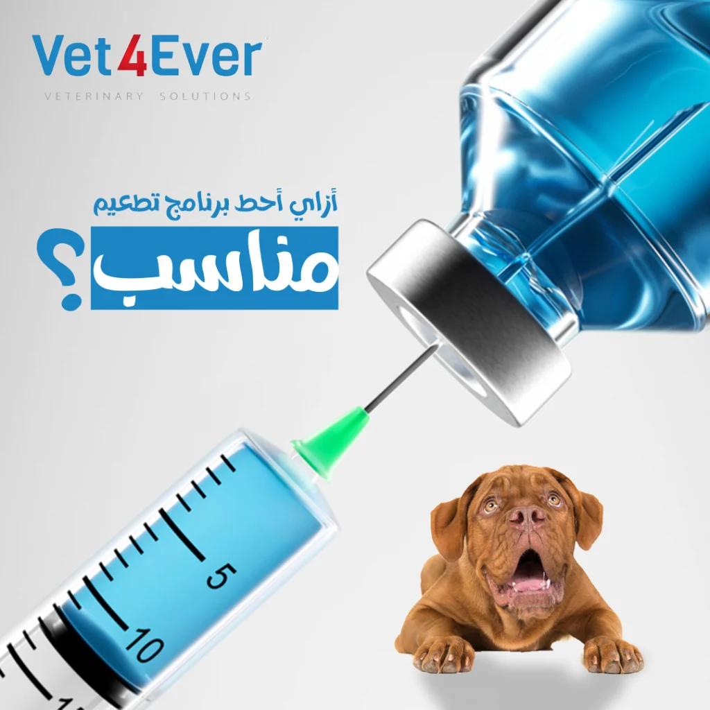 Vet4ever Social Media