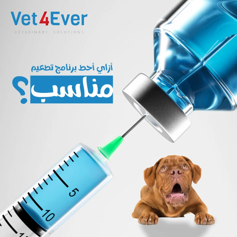 Vet4ever Social Media