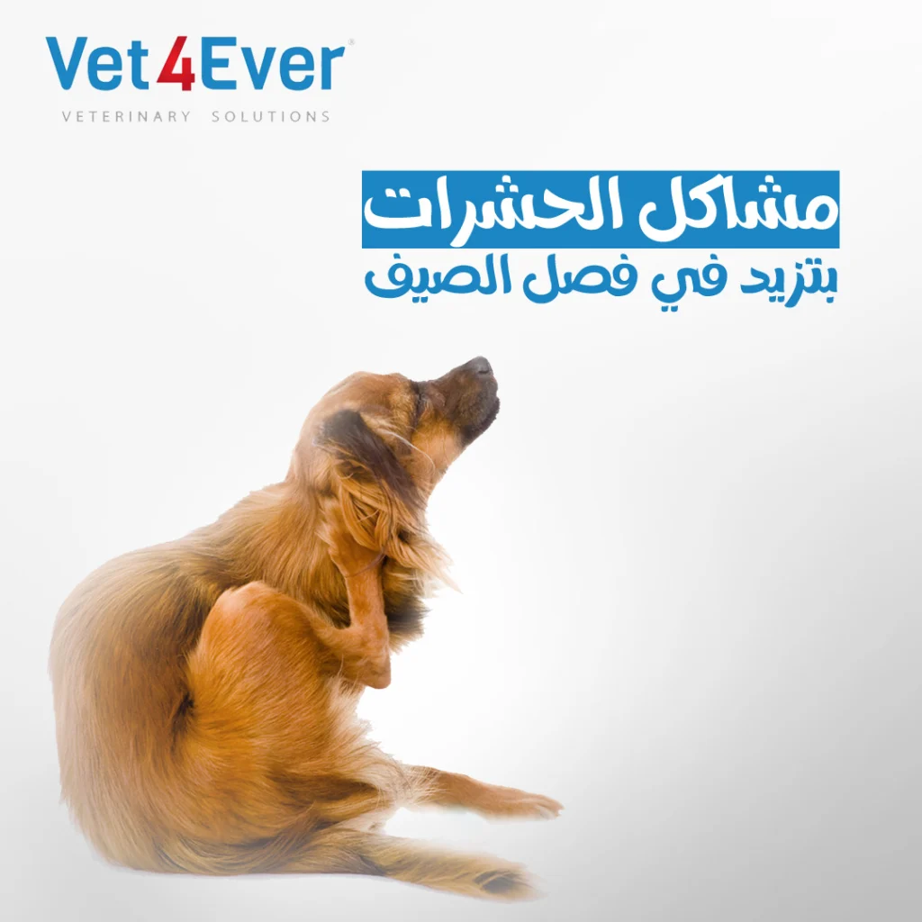 Vet4ever Social Media (16)