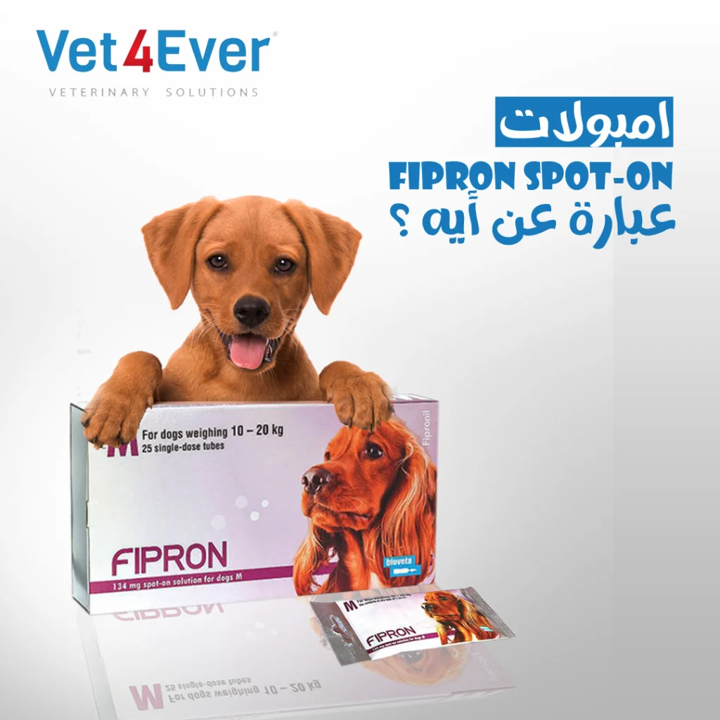 Vet4ever Social Media (17)