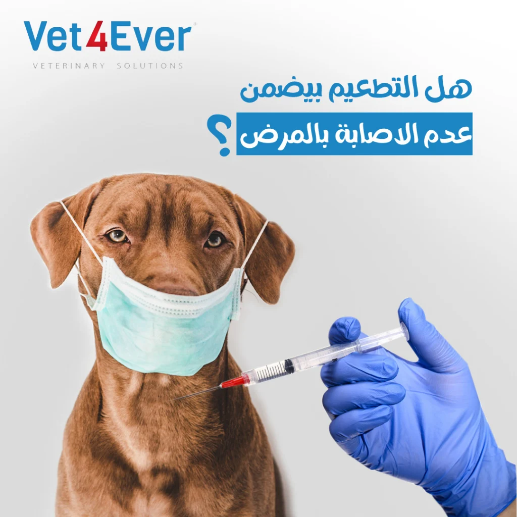 Vet4ever Social Media (2)