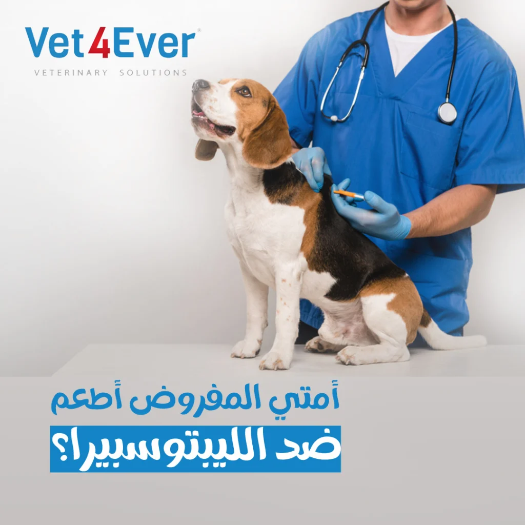 Vet4ever Social Media (20)