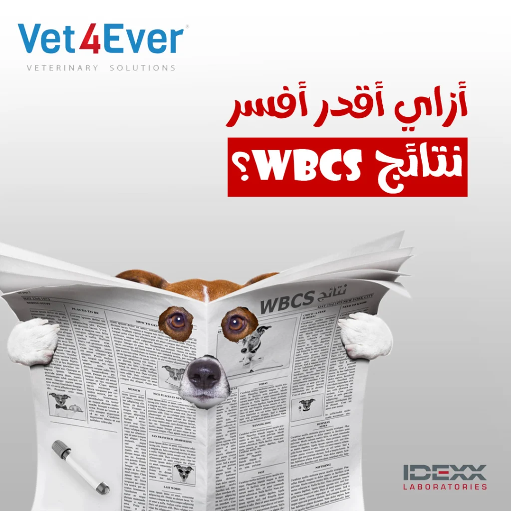 Vet4ever Social Media (3)