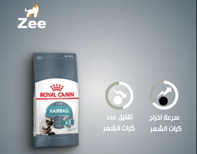 Royal Motion Video