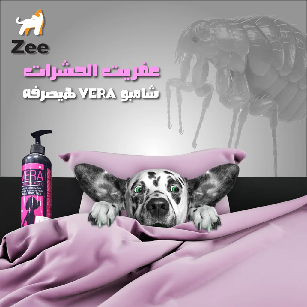 Zee Pets Shop (19)